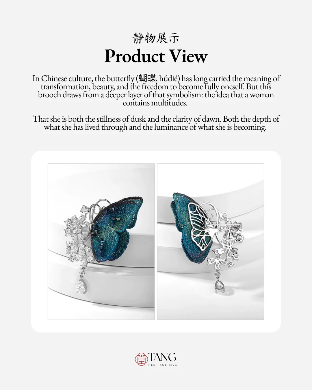 Dusk and Dawn Butterfly Brooch - Image 10