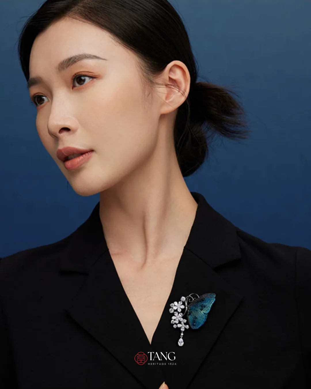 Dusk and Dawn Butterfly Brooch - Image 12