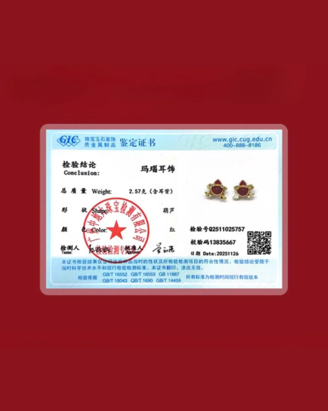 Fortelle Earrings - Image 12