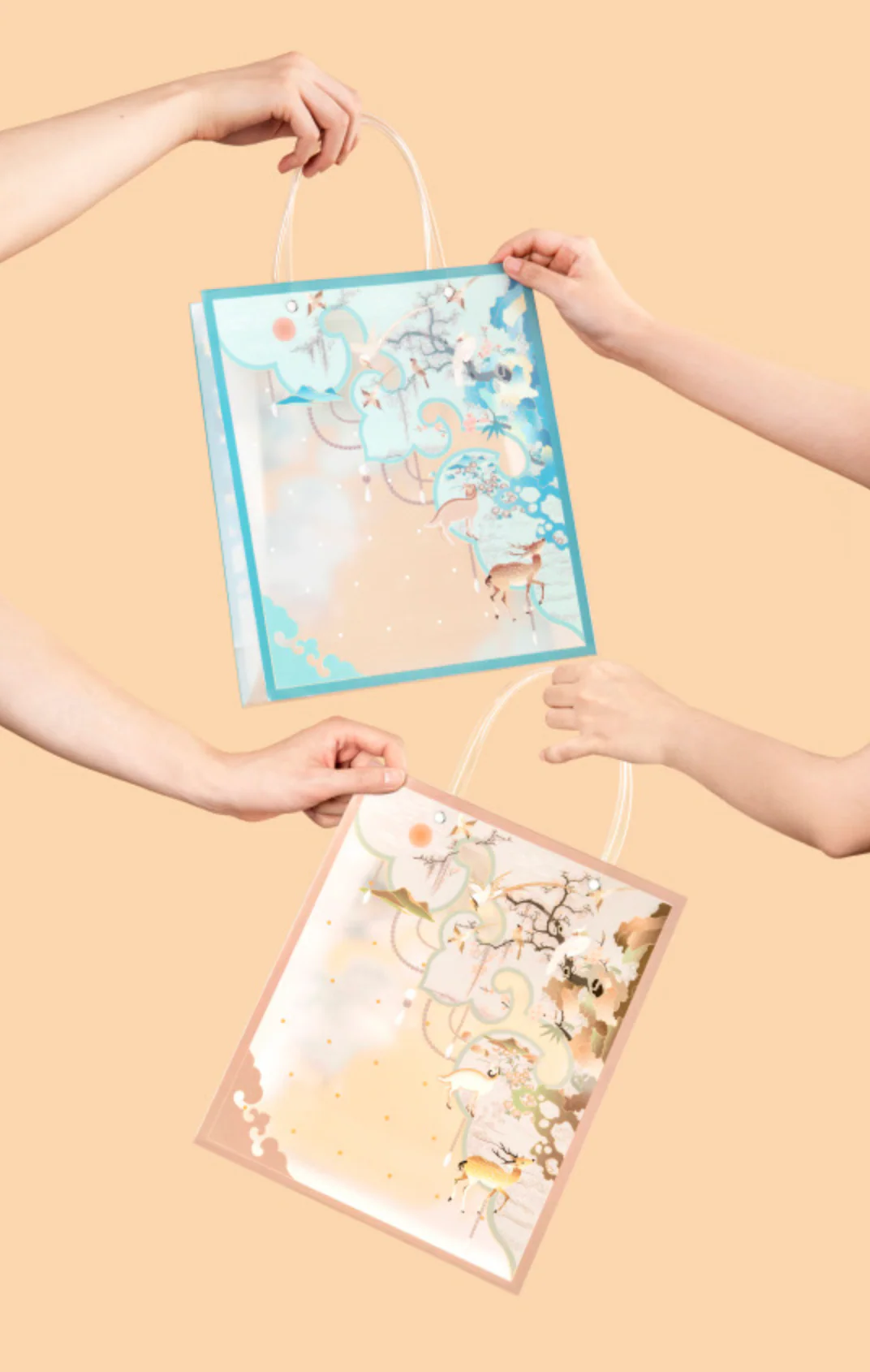 Prosperity Cloud Gift Bag - Image 3