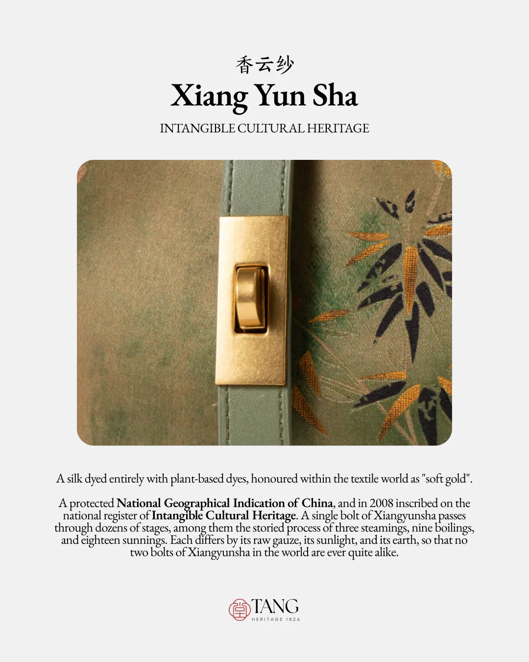 Tang Imperial 25 Noble Bamboo Xiangyunsha Shoulder Bag - Image 3