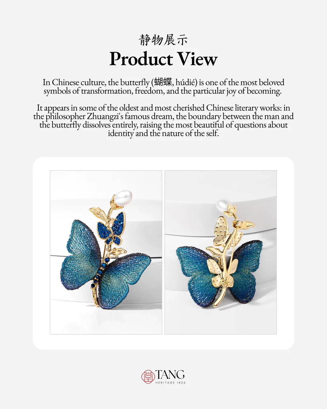 Teal Reverie Butterfly Brooch - Image 9
